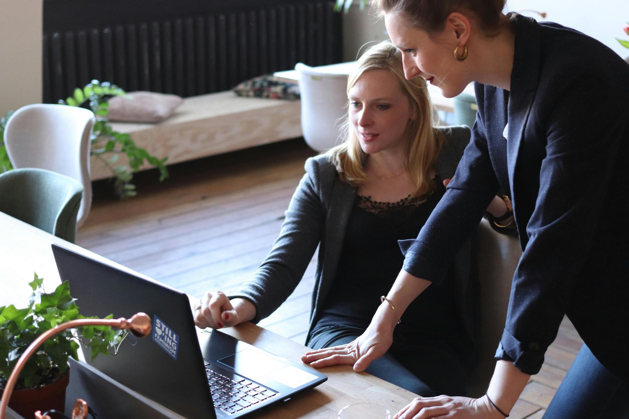 Consultant discussing portfolio on laptop